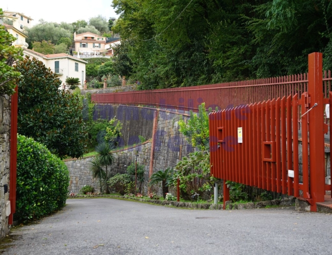 Dettagli